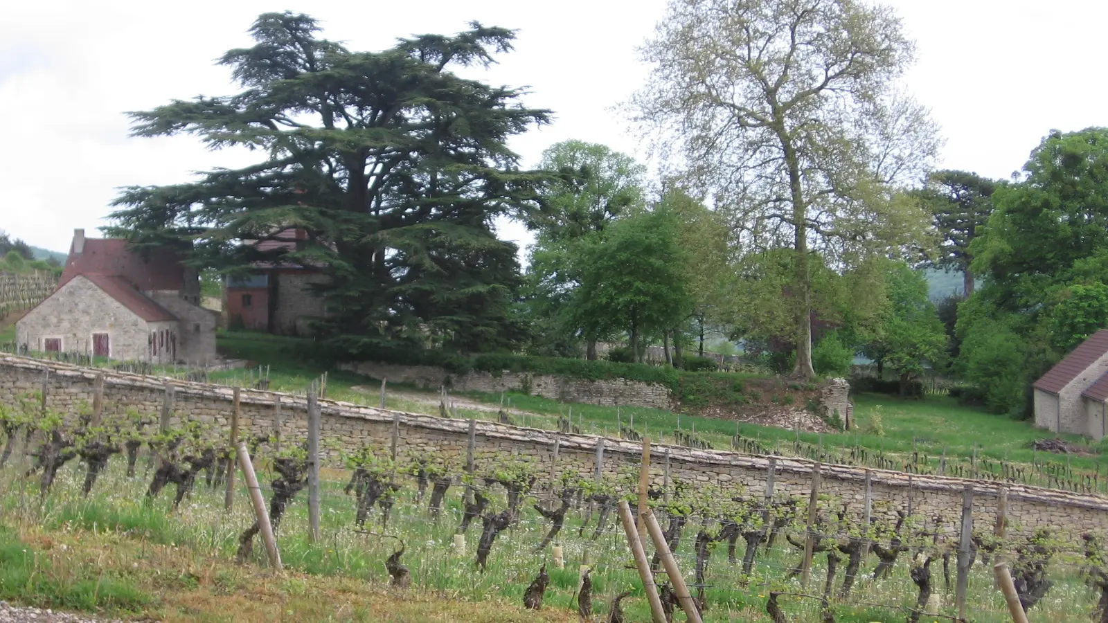 vue d'ensemble du clos