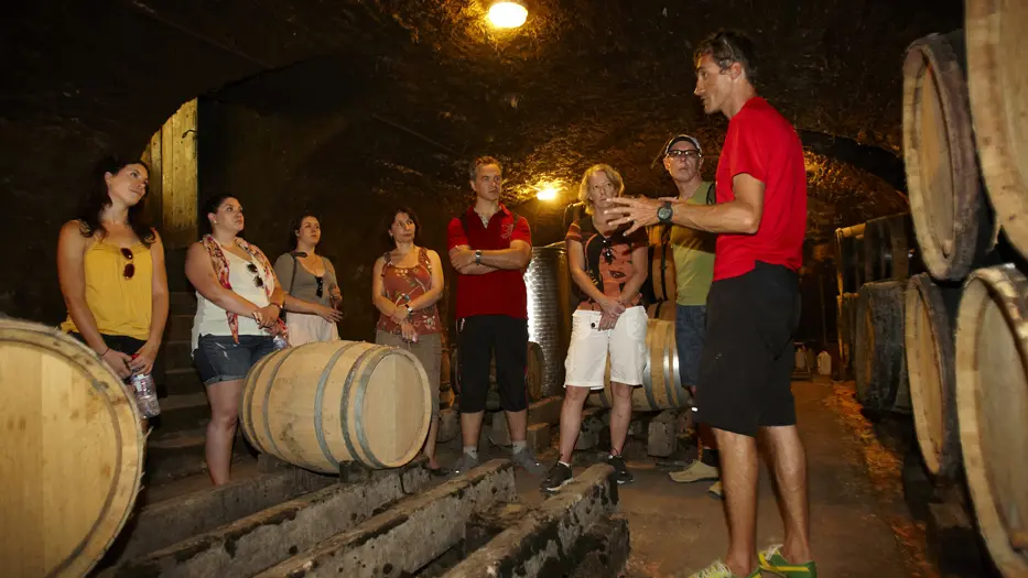 Dégustation / visite de cave