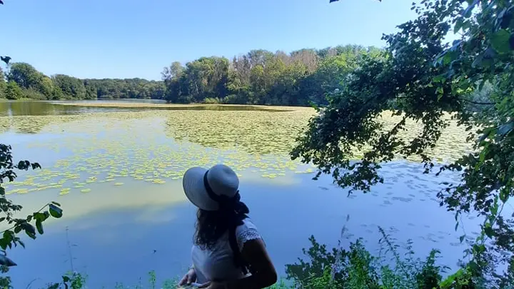 243493913_4325796160874674_1951733597657940606_n