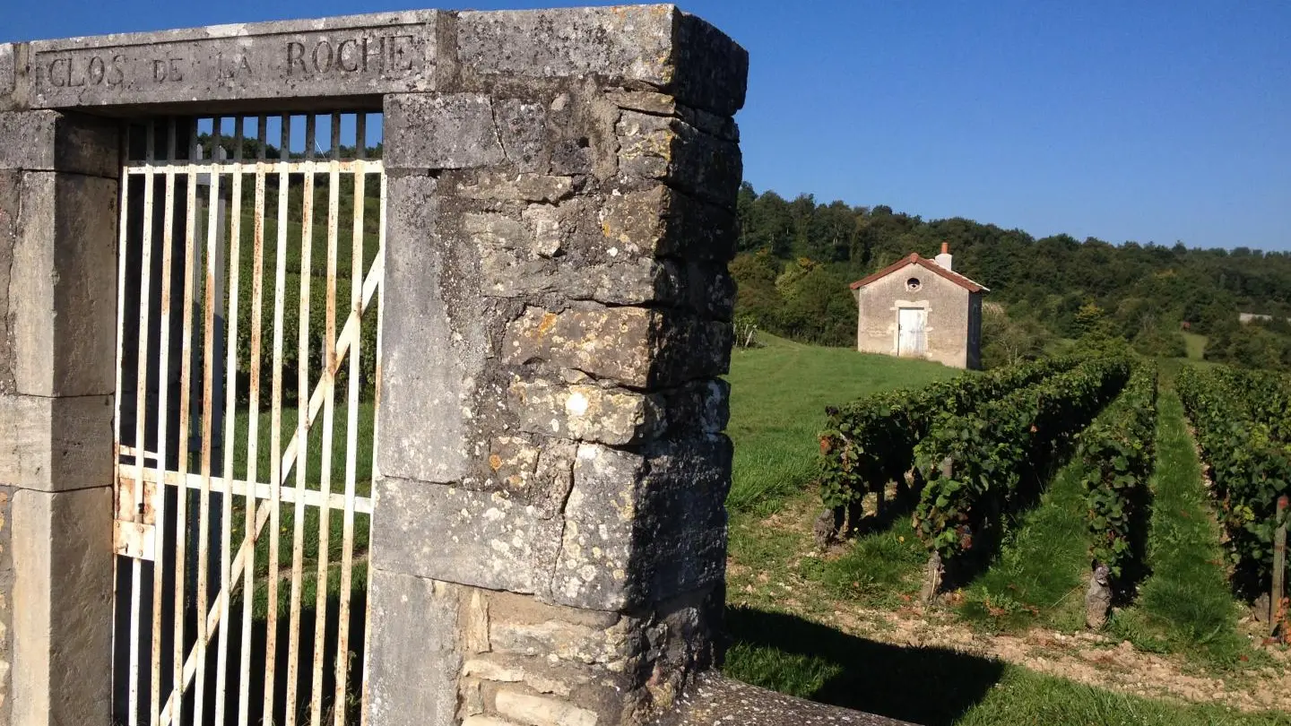 Chez Kate
