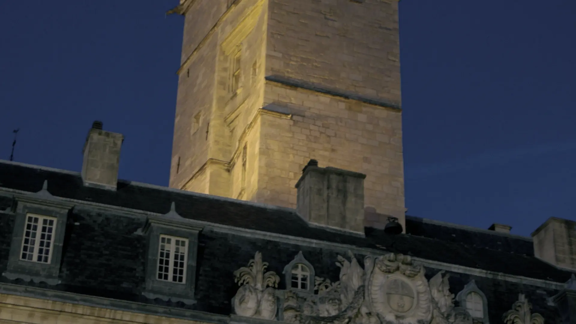 Dijon, Palais des Ducs