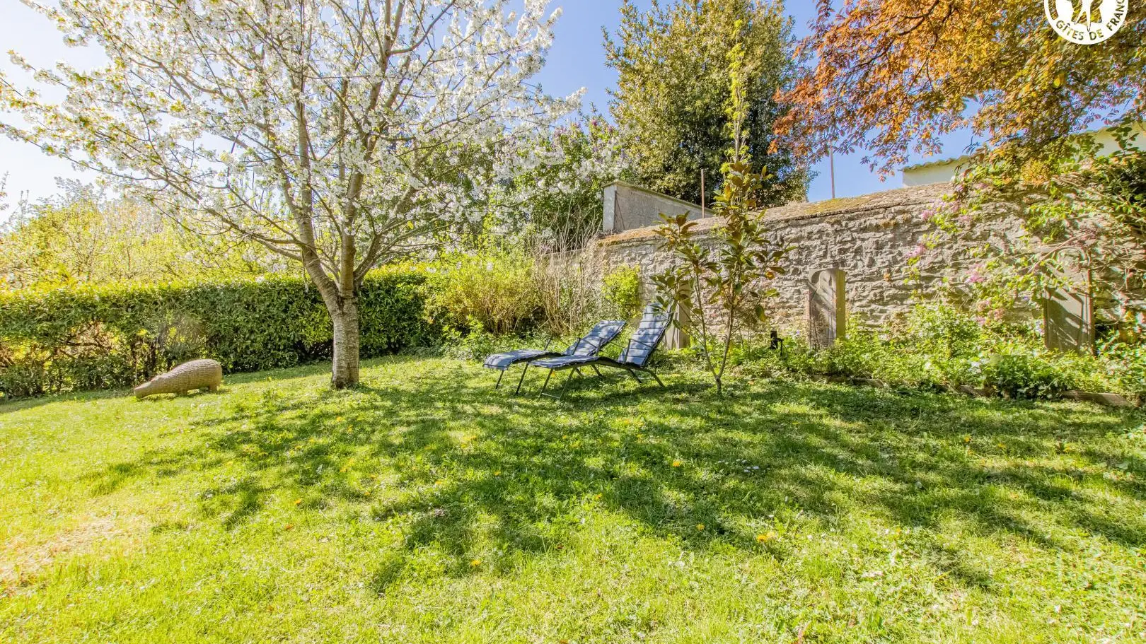 Versant de Vigne