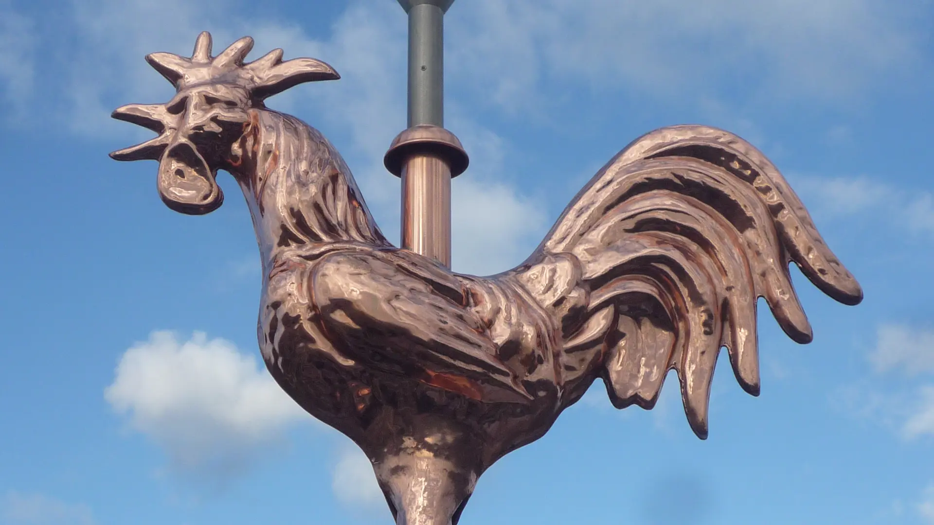 Nouveau coq
