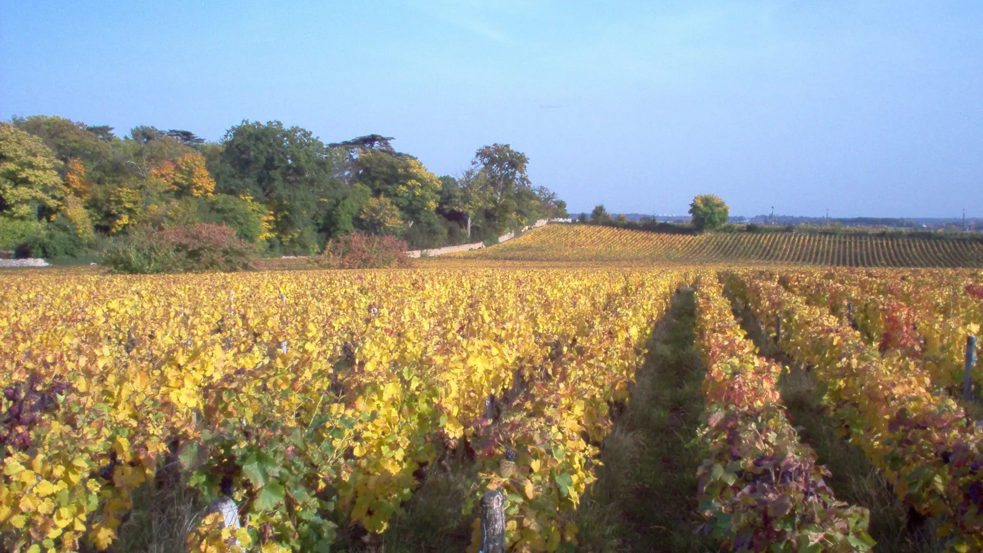 300 Couleurs d automne