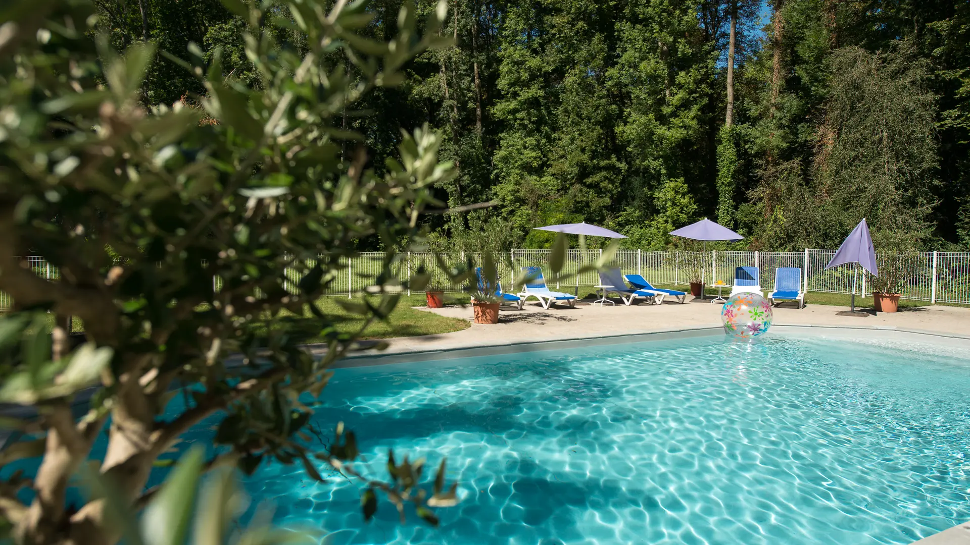 Piscine dans le parc