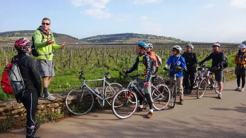 Cycling into the vineyards