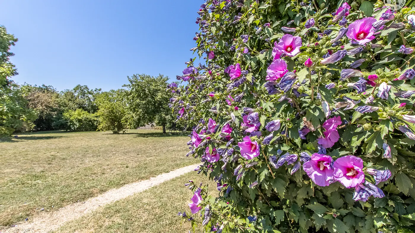 Le Clos de l’Epeiche