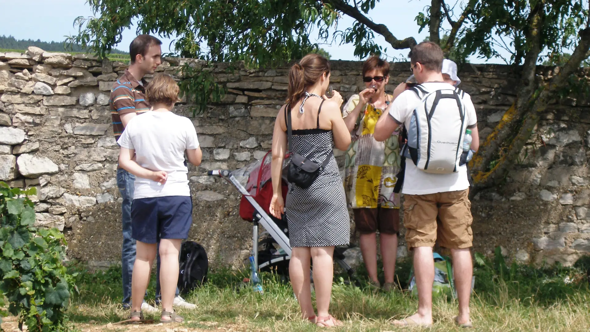 dégustation dans les vignes