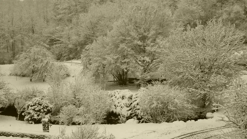 GITE DU MOULIN DE MALGERARD A NEUVELLE-LES-CROMARY_11