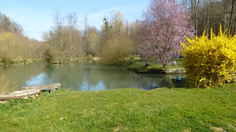 GITE DU MOULIN DE MALGERARD A NEUVELLE-LES-CROMARY_9