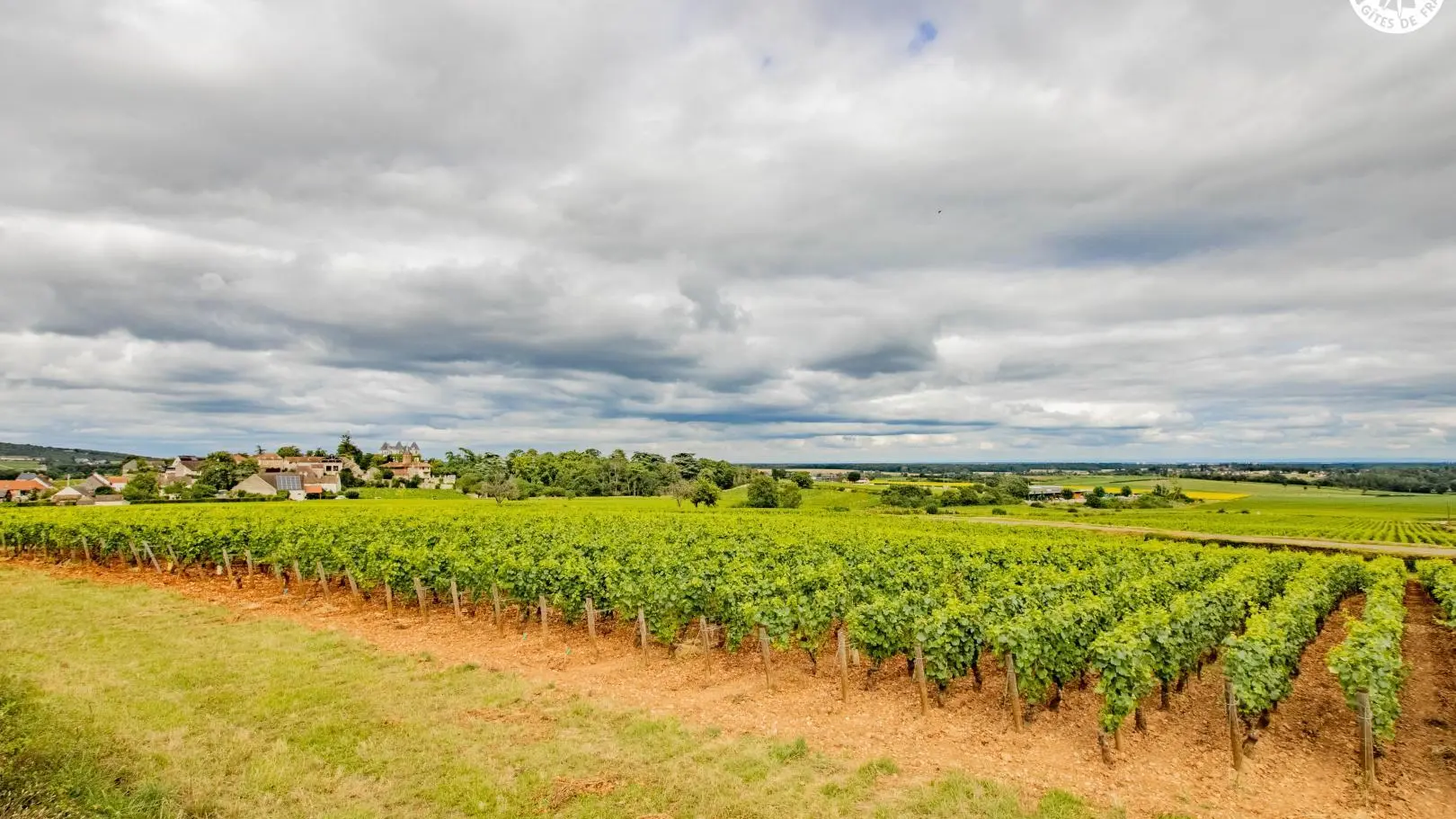 Cœur de Vignes