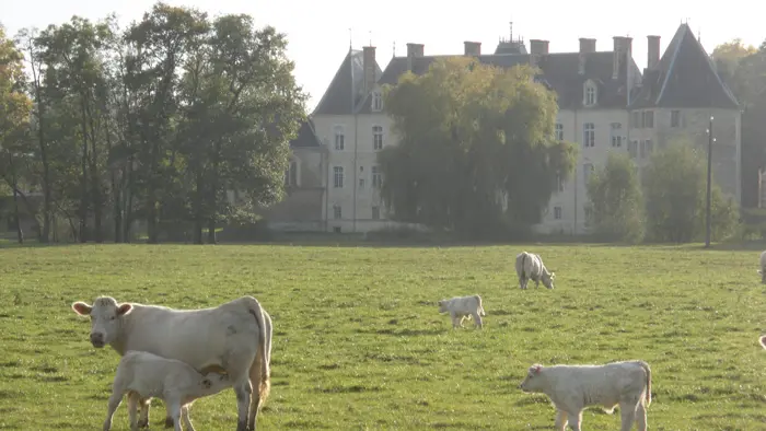 CHATEAU DE SAINT- LOUP-NANTOUARD_11