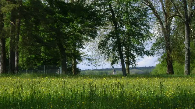 PARC DU  CHATEAU DE SAINT- LOUP-NANTOUARD_2