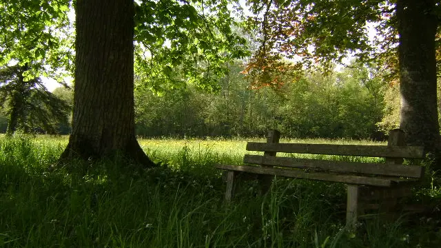 PARC DU  CHATEAU DE SAINT- LOUP-NANTOUARD_5