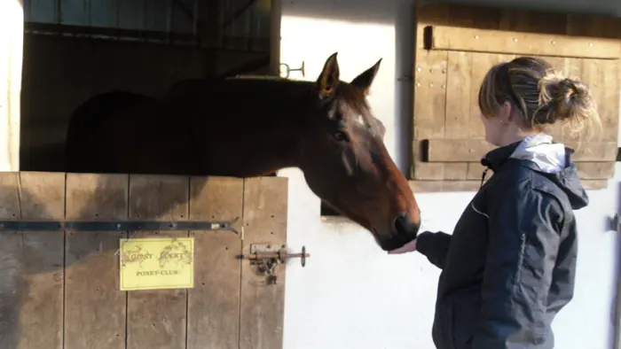 DOMAINE EQUESTRE DE LA BORDE_1