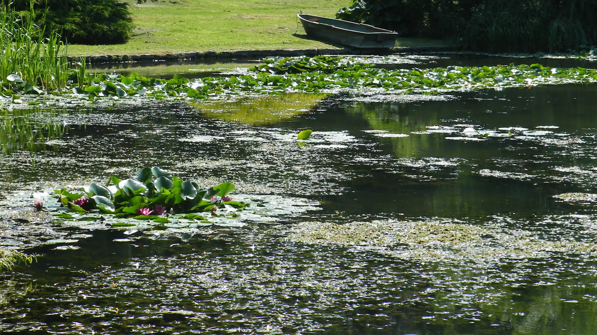 LE PARC DE L'ETANG_4