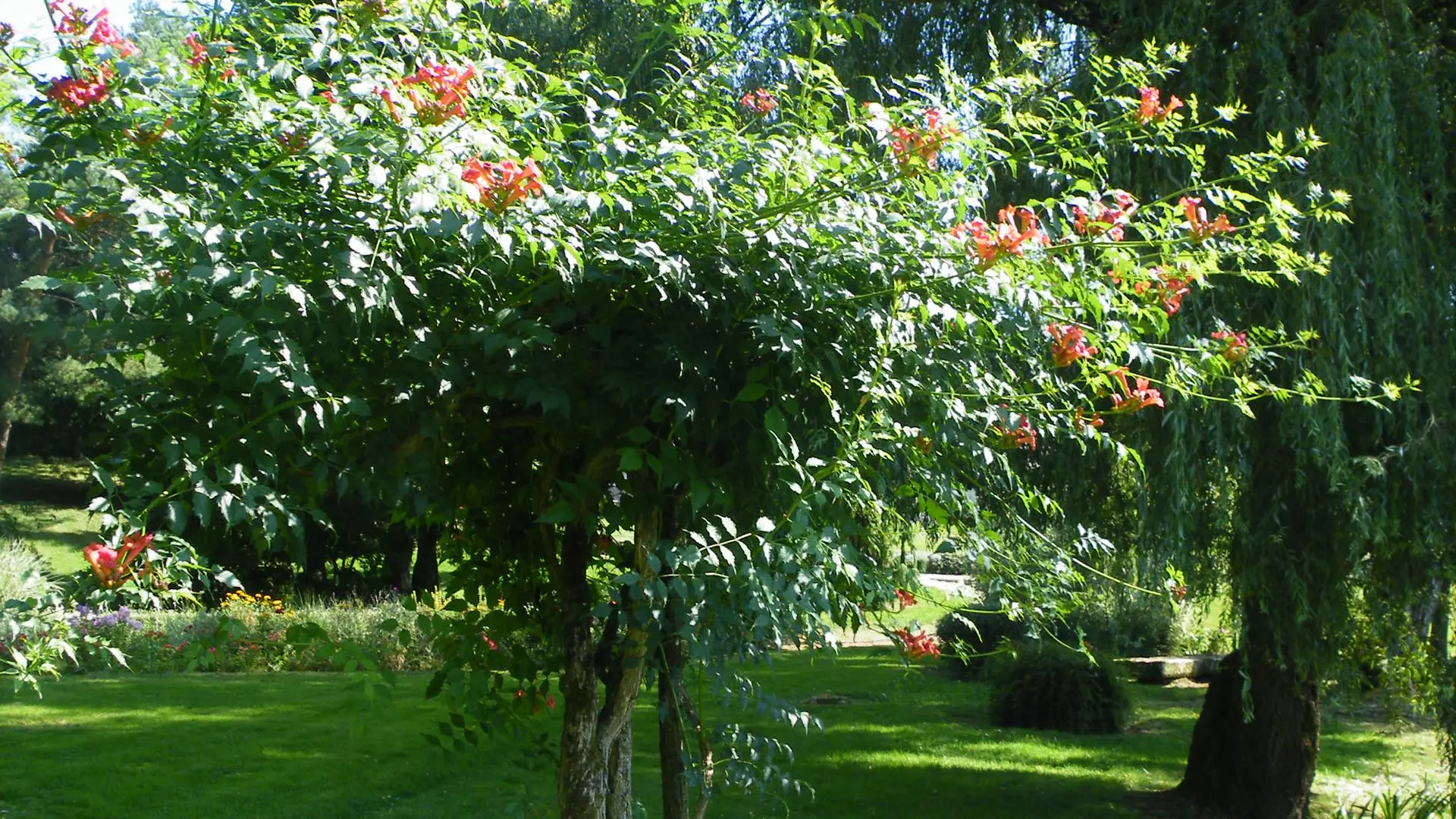 LE PARC DE L'ETANG_5