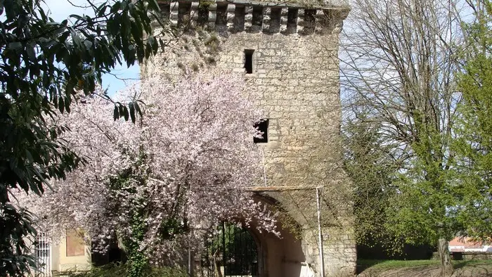 CHATEAU - MUSEE BARON MARTIN_5