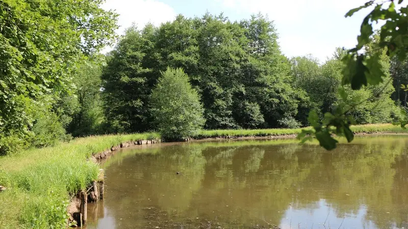 CAMPING NATURISTE : LES ÉTANGS DE SAINT PANCRAS_3