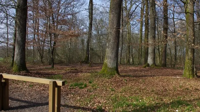 PARCOURS DE SANTÉ À ST SAUVEUR