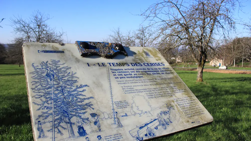 SENTIER DE DECOUVERTE DES PIERRES-DE-ROUGE_2