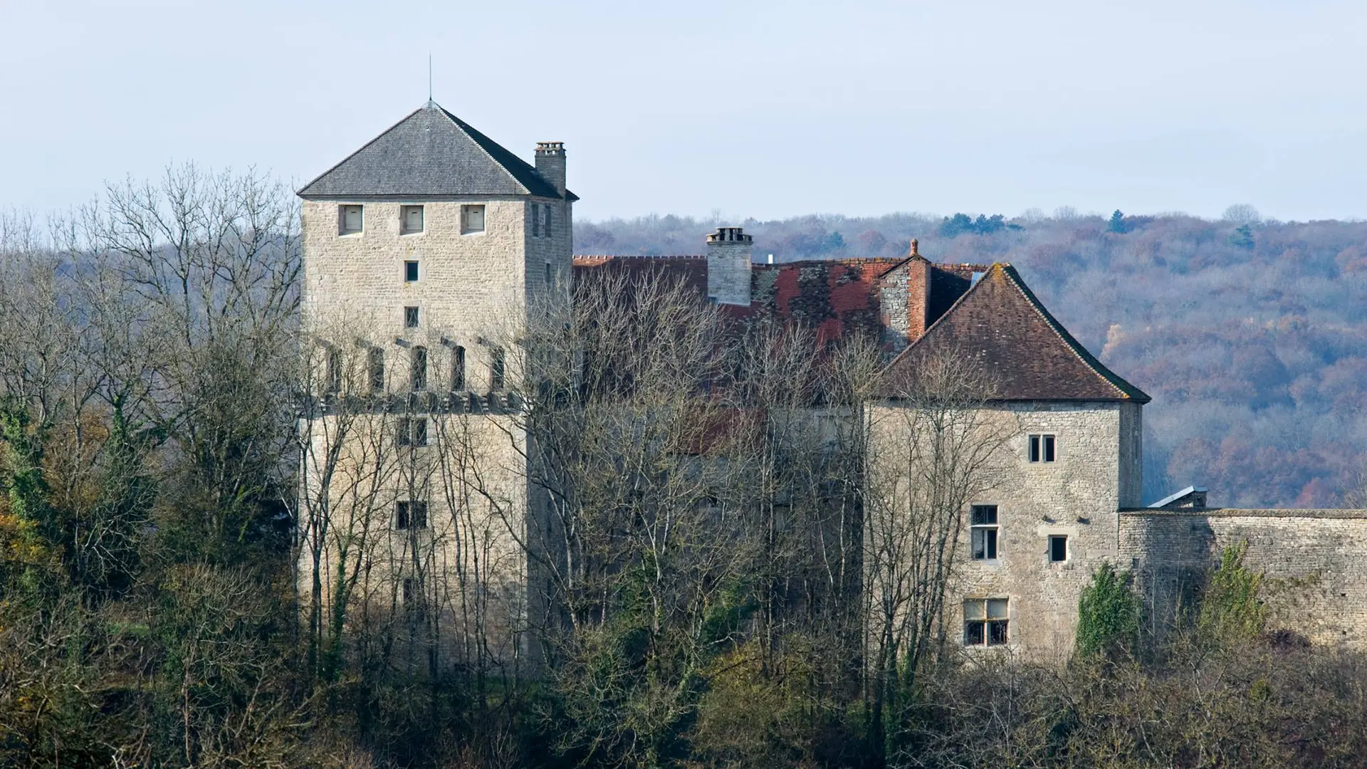 CHÂTEAU DE VALLEROY_1