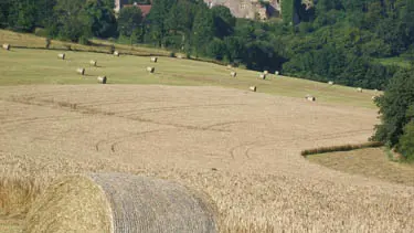 CHATEAU MEDIEVAL D'ORICOURT_6