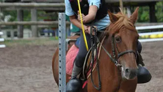 PONEY CLUB LE PICOTIN_2
