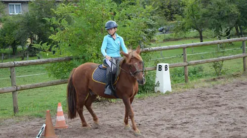 PONEY CLUB LE PICOTIN_5