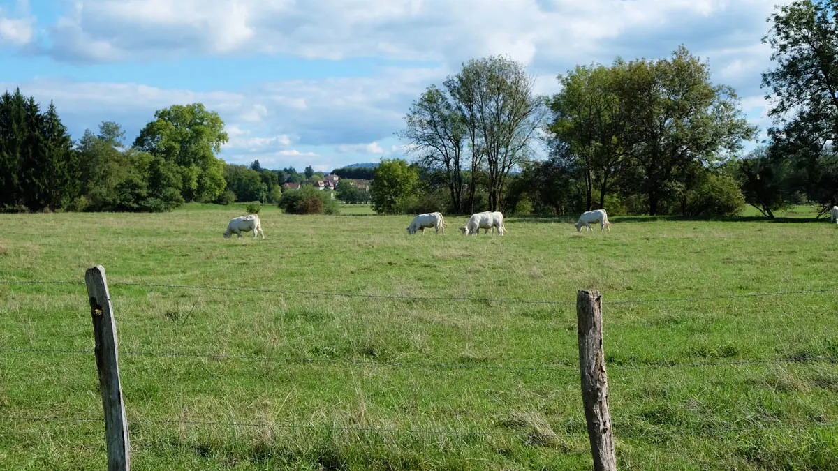 VOIE VERTE DE LA VALLEE DE L'OGNON_7