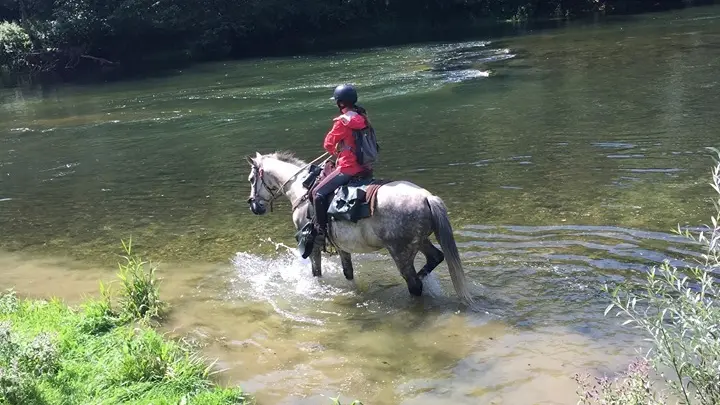 TRACE EQUESTRE DES BALLONS COMTOIS_4