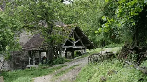 GÎTE PAYSAN DU MOULIN BEGEOT_8