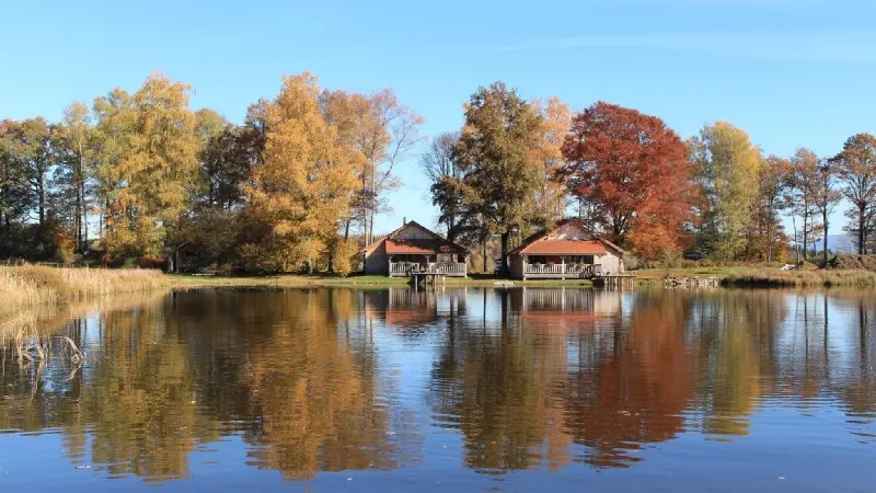 CHALET LE NENUPHAR - DOMAINE DE LA PATTE D'OIE_1