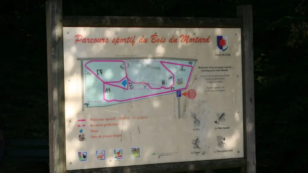 PARCOURS SPORTIF BOIS DU MORTARD_2