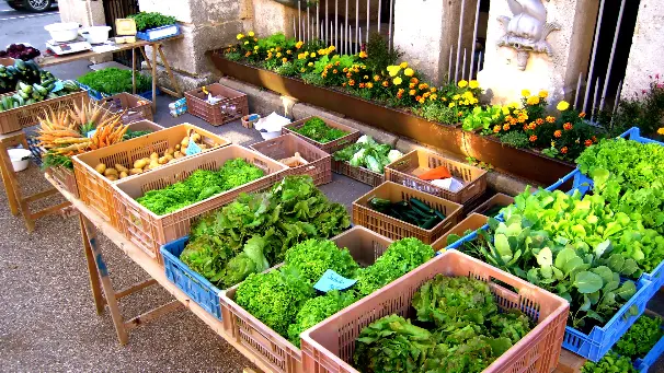 LES JARDINS DE VAUVENISE_1