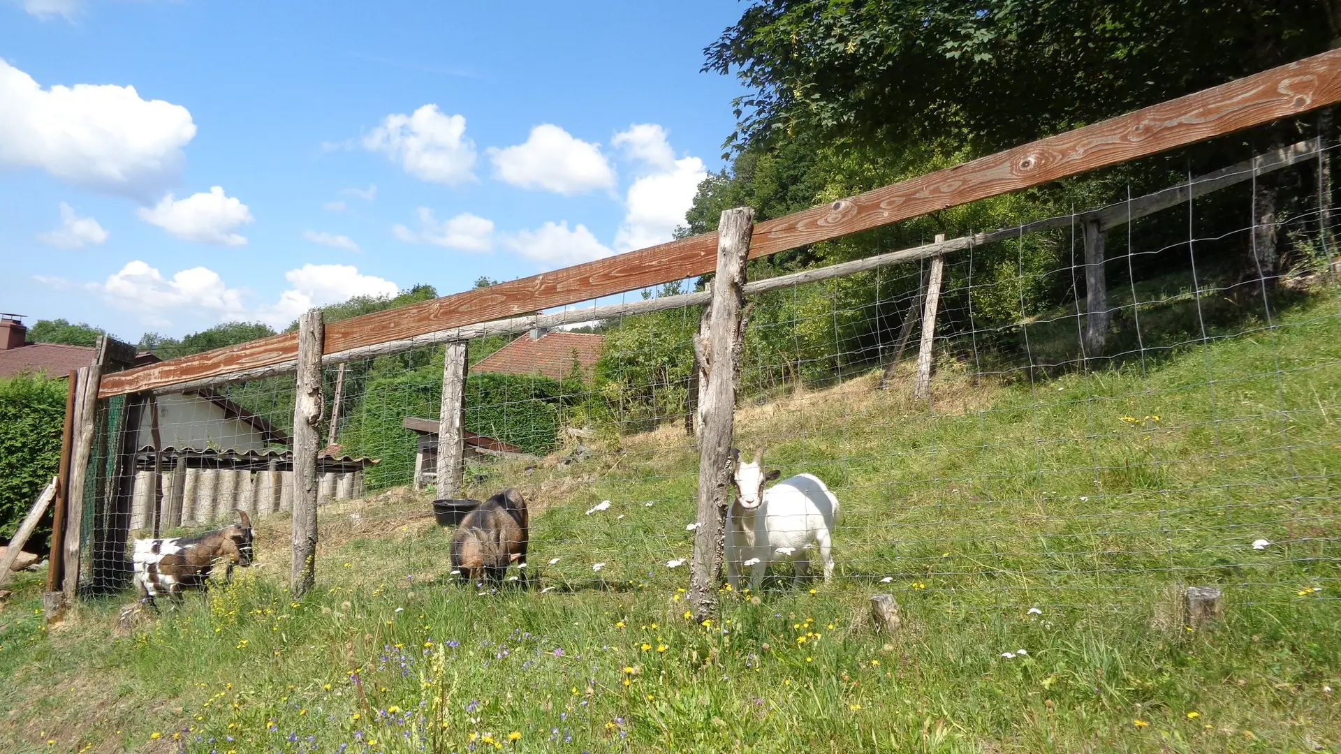 37175291_2150940184920279_6821470821345656832_o