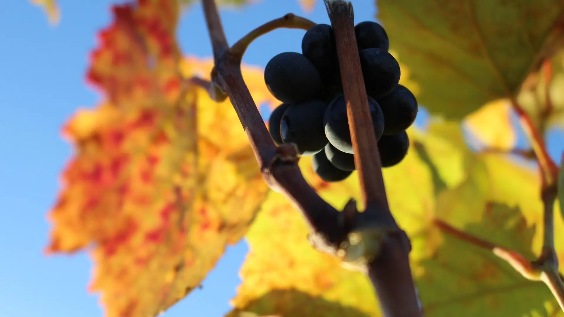 386598925_803316338460963_4308461862844720333_n