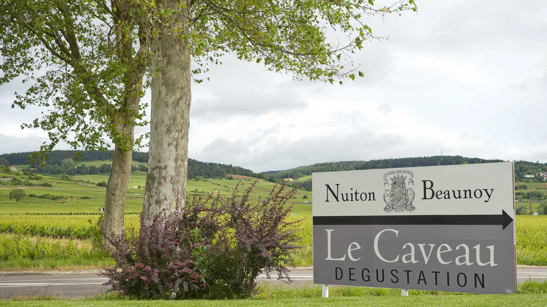 Entrée Caves des Hautes Côtes