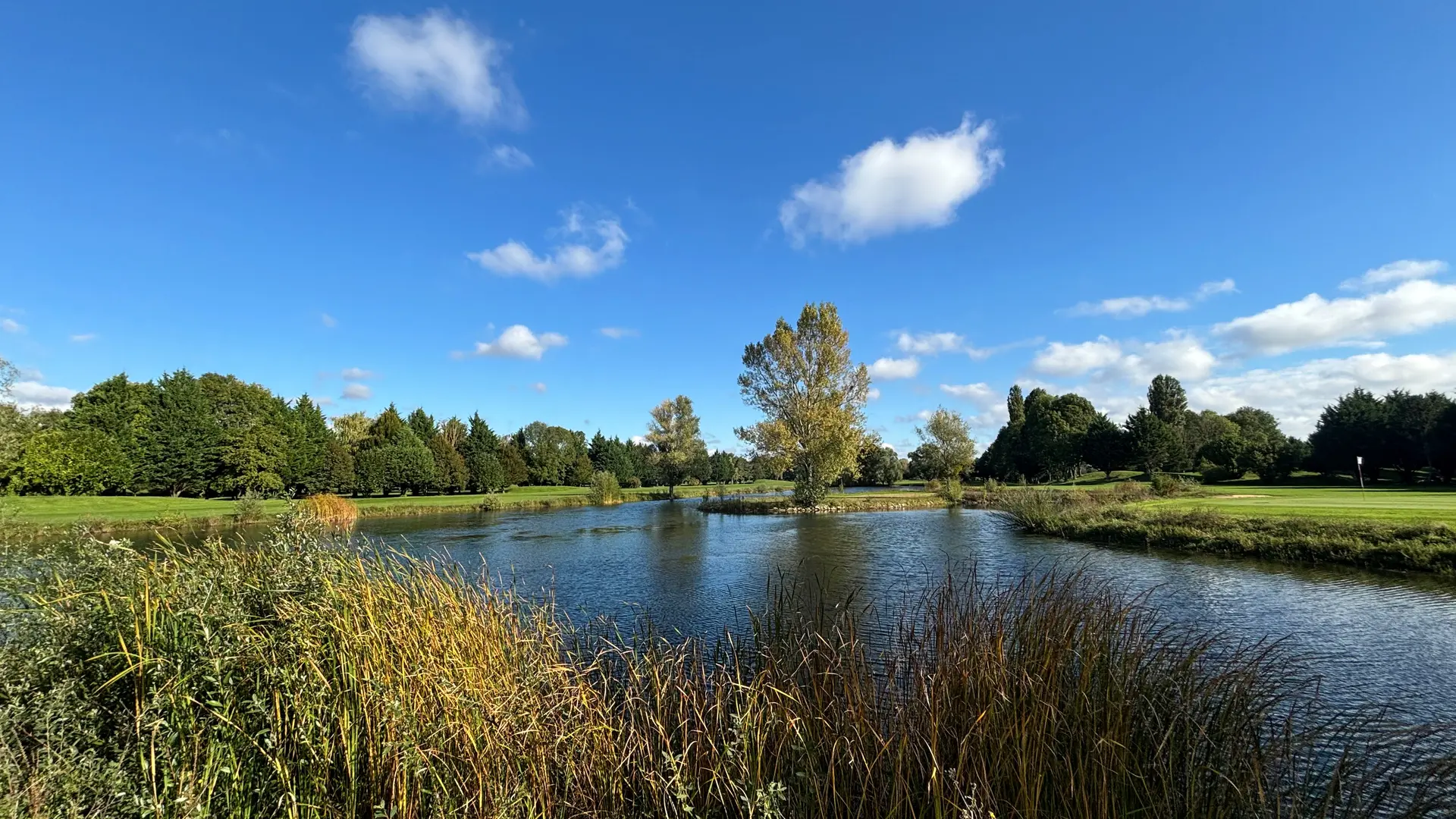 Etang  terrasse