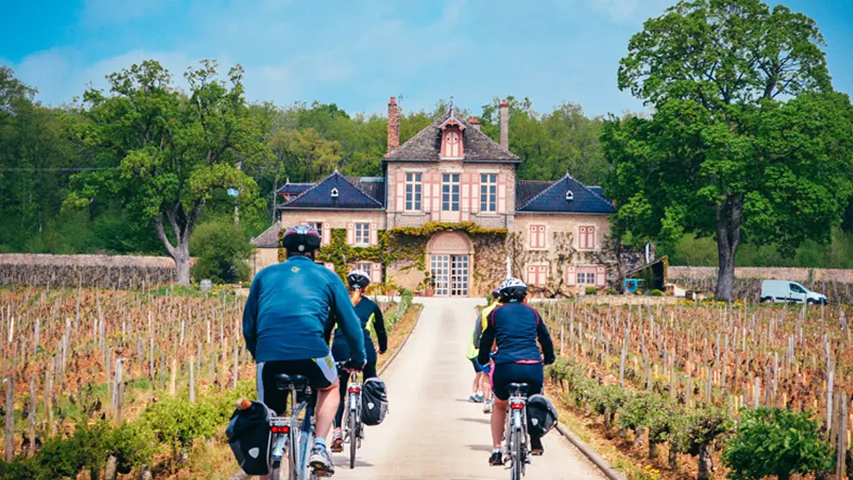 Visite de Vignoble