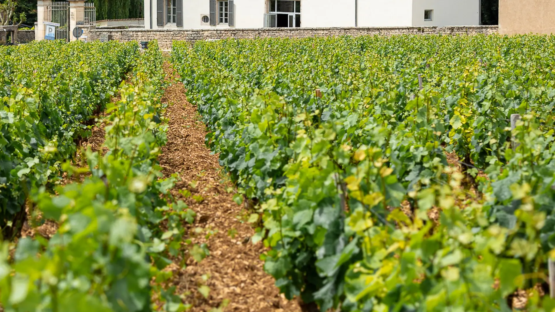 4-Chateau-de-Garnerot-2019-06-