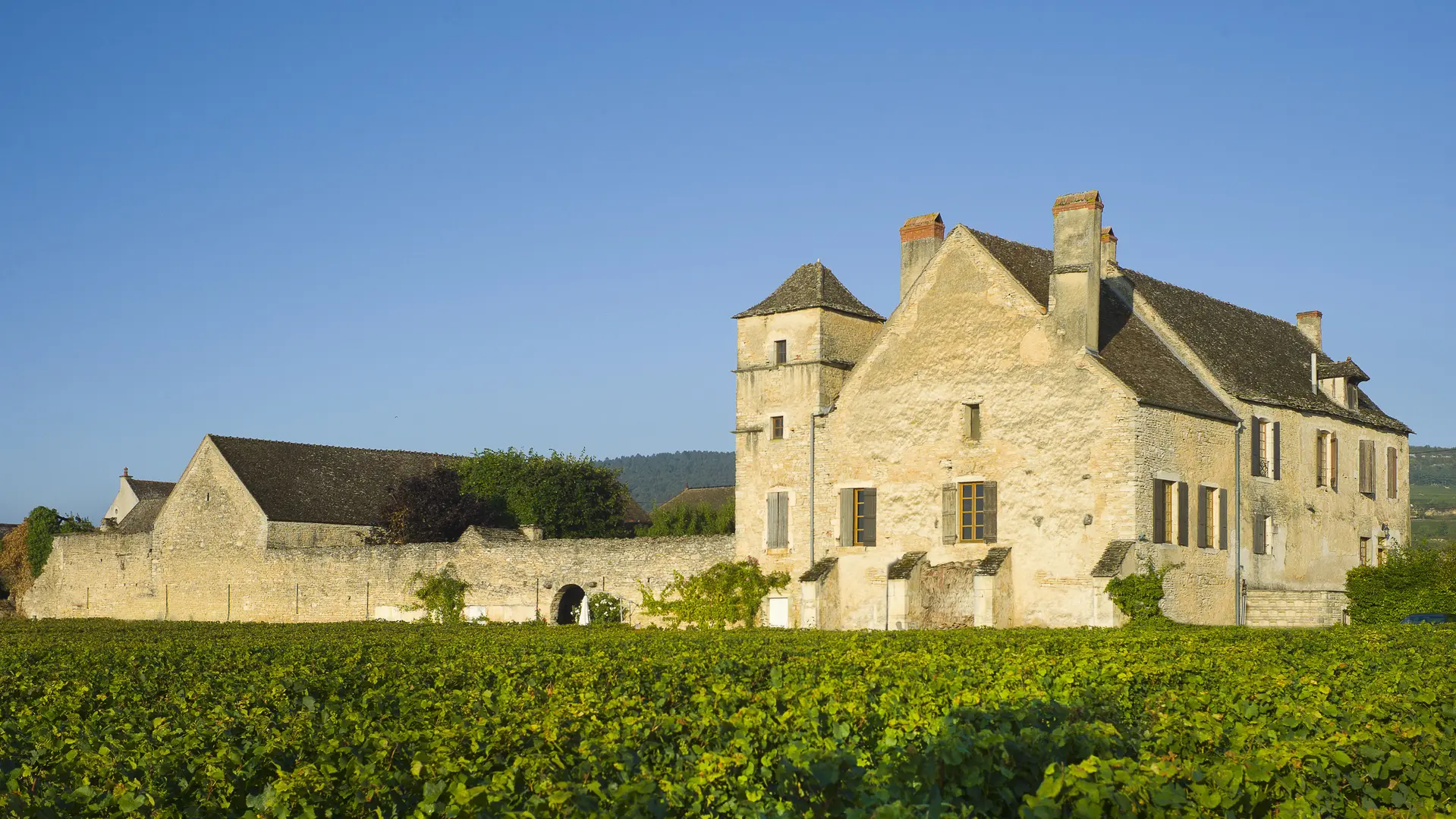 Château de la Velle et ses vignes