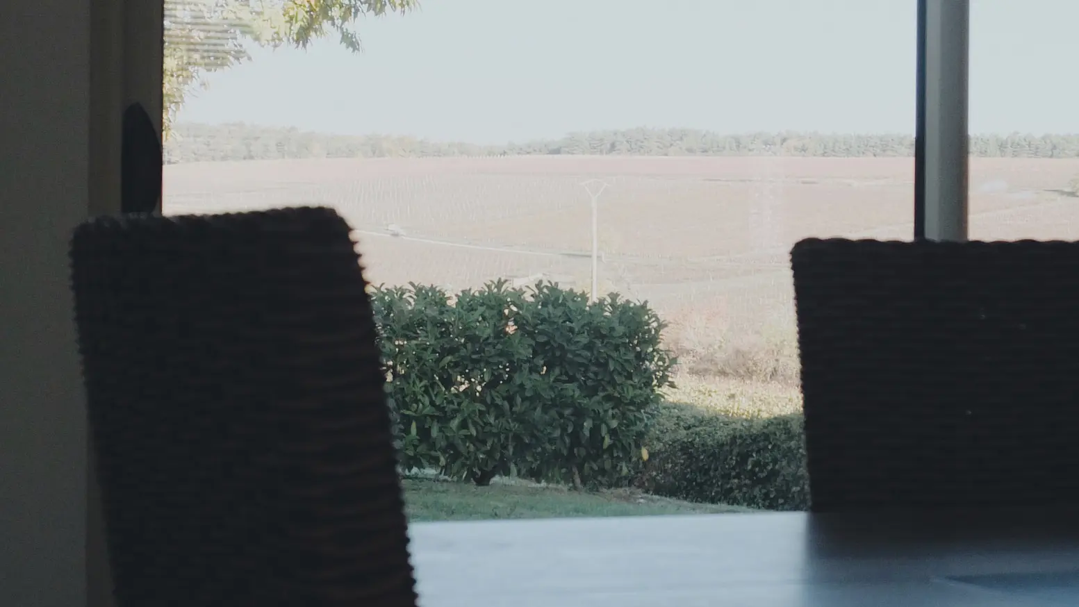 44865959175_c3cba62476_k