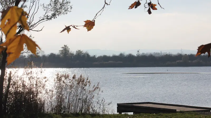 Les Etangs d'Or - Parc Eco Loisirs de Merceuil Tailly