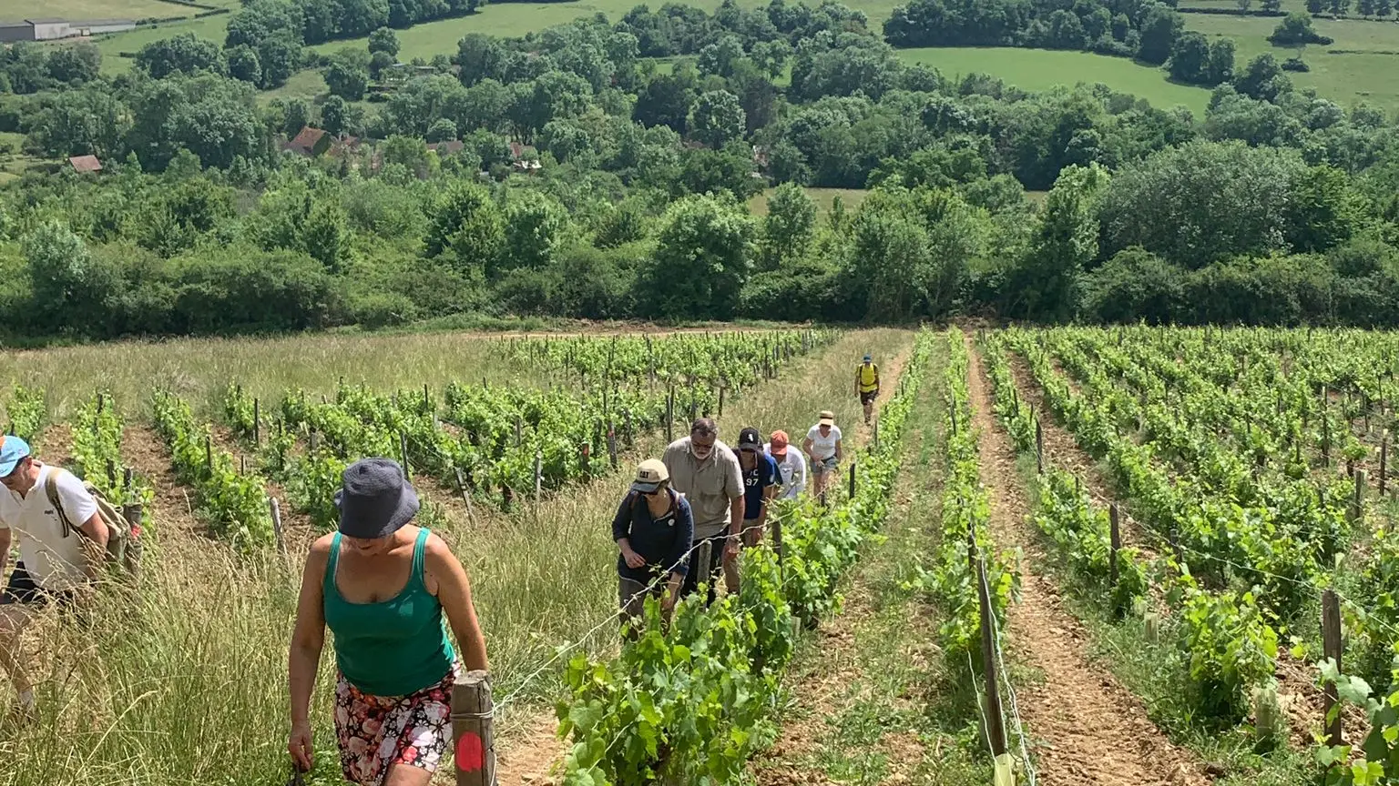 Les Chemins du Vivant