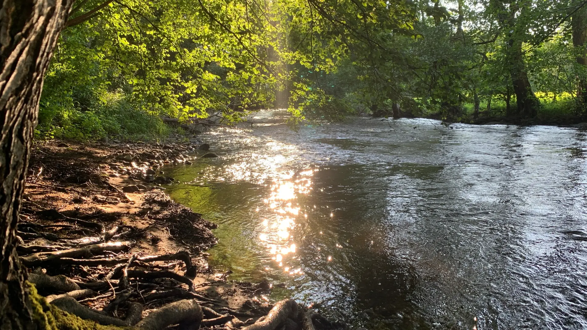 Les Chemins du Vivant