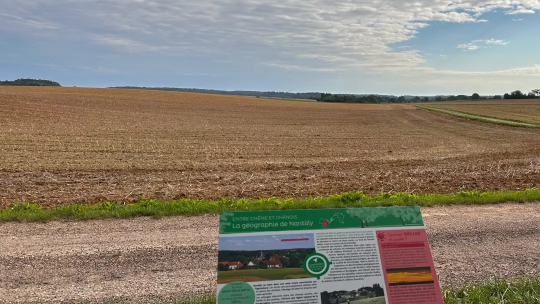 Entre Chêne et Chânois