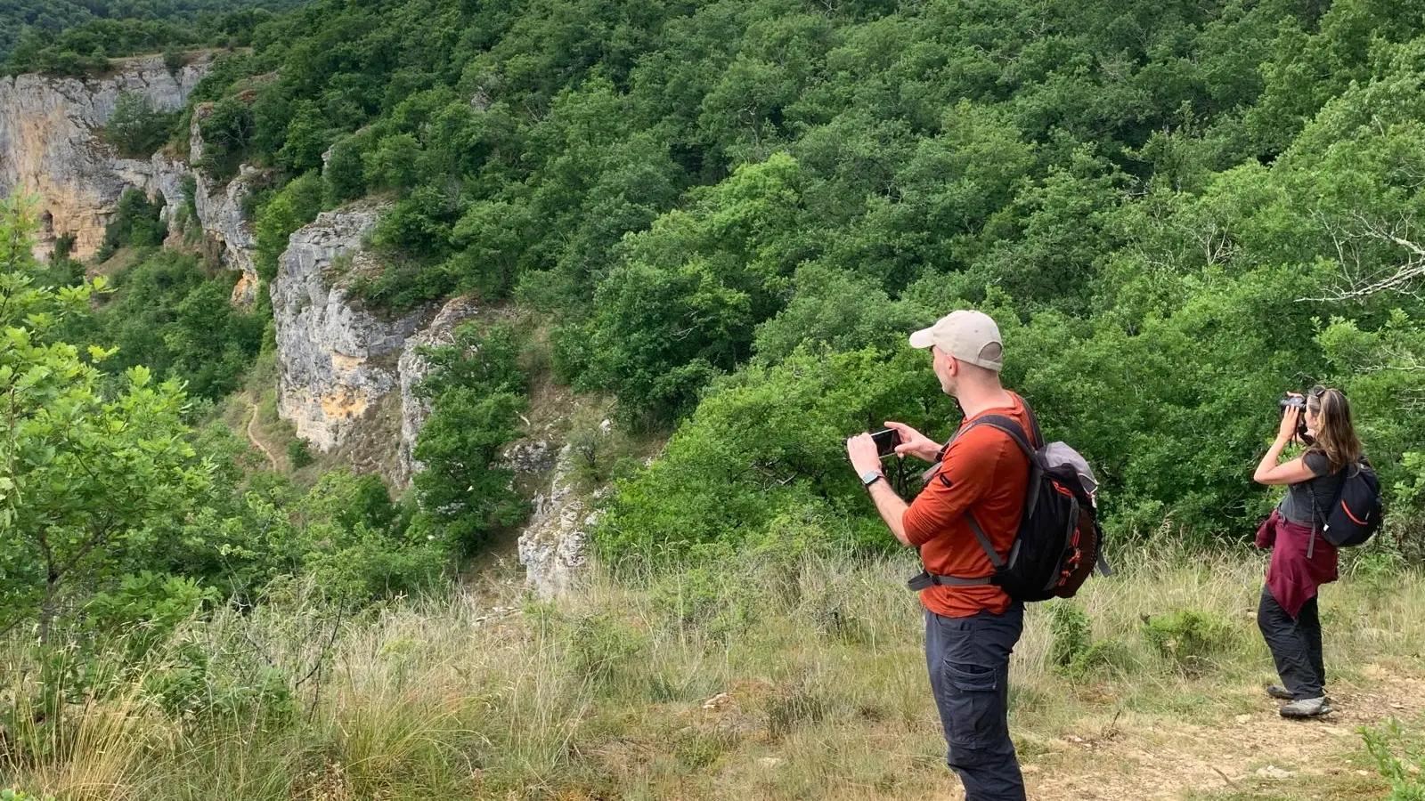 Les Chemins du Vivant