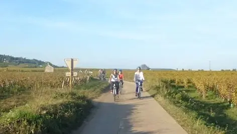 Balade dans le vignoble