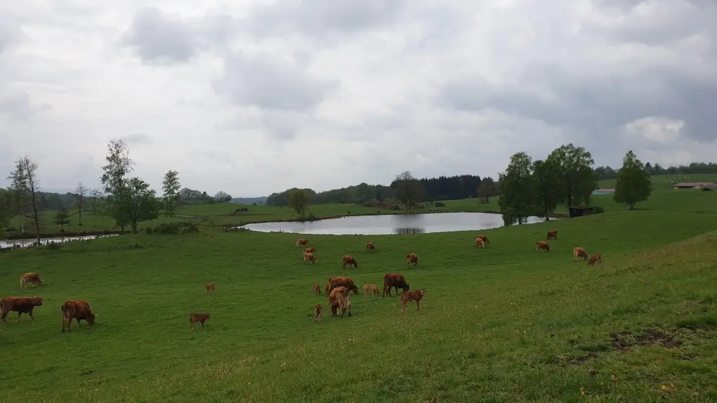 La Ferme du Breuillet3